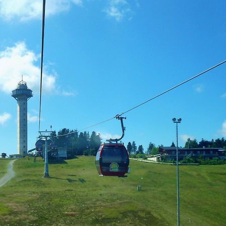 Komfort-Fewo Ettelsberg-Panorama Willingen  Eksteriør billede