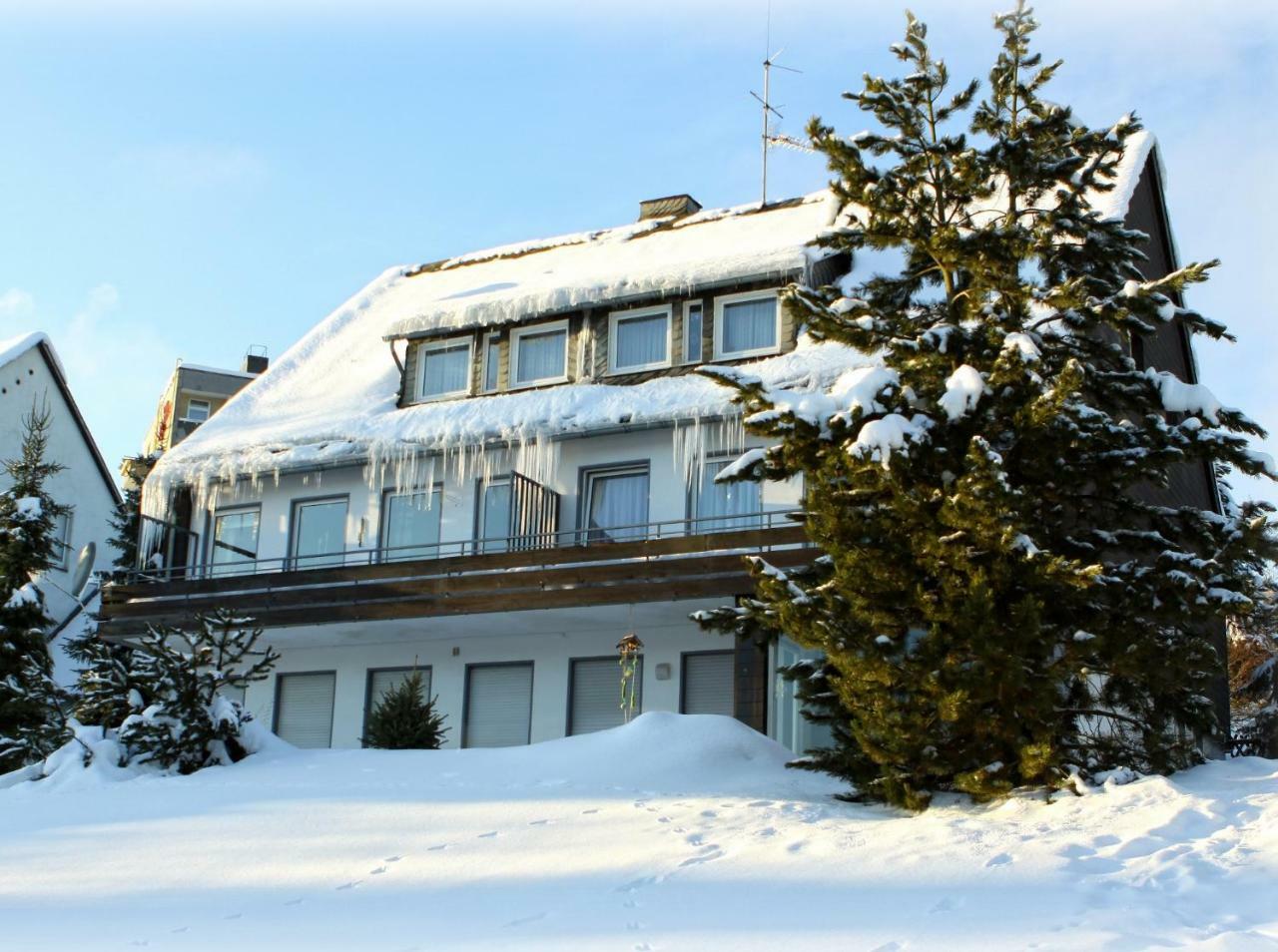 Komfort-Fewo Ettelsberg-Panorama Willingen  Værelse billede